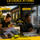 Illustration inspirée de la Cigale et la Fourmi représentant l'anticipation des travaux de rénovation avant l'automne avec TRENDEL en Alsace